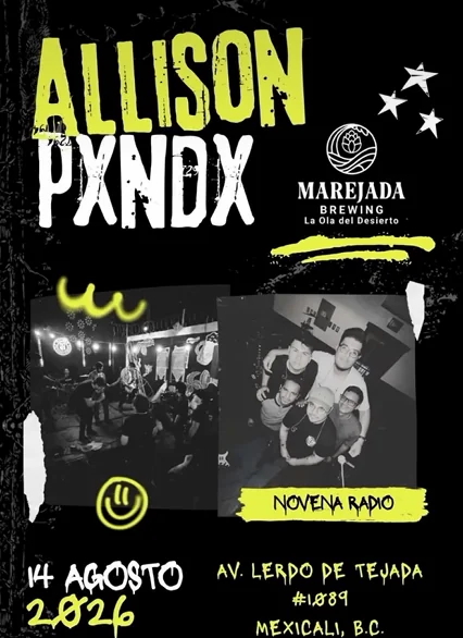 Flyer de Tributo a Allison & PXNDX