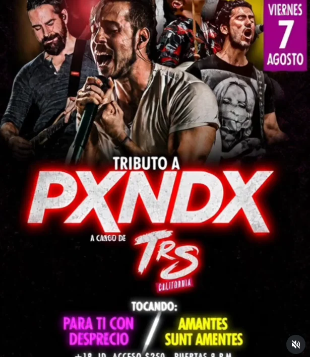 Flyer de Tributo a Pxnx
