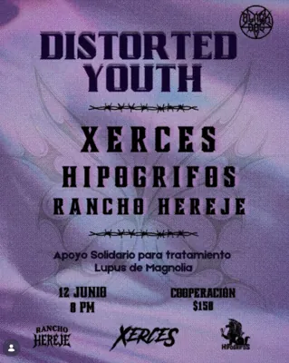 Distorted Youth 