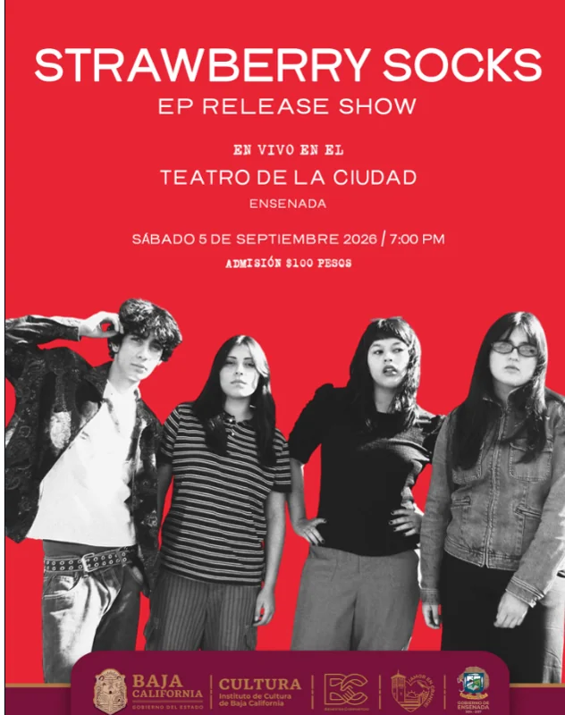 Flyer de Strawberry socks