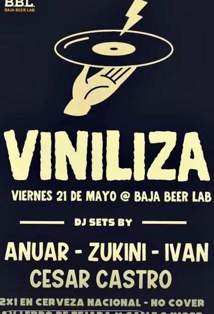 Flyer de VINILIZA en baja beerlab