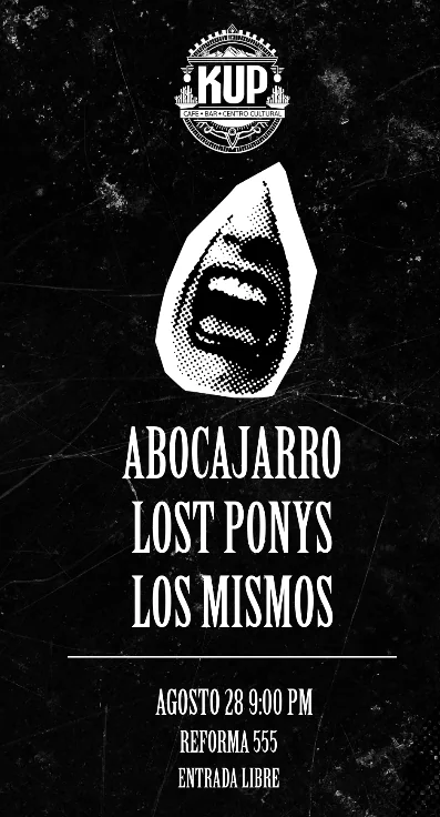 Flyer de Noche Punrokera!