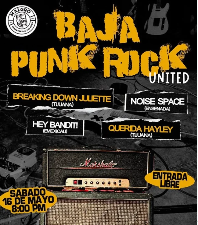 Flyer de Baja PUNKROCK united