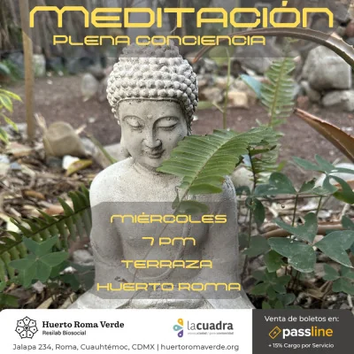 Flyer de Meditación Plena Conciencia