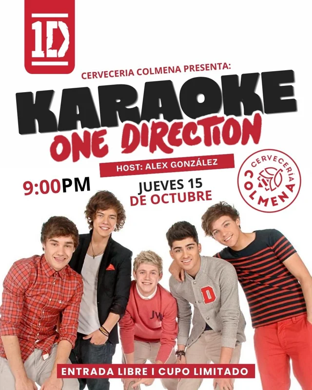 Flyer de Karaoke One Direction