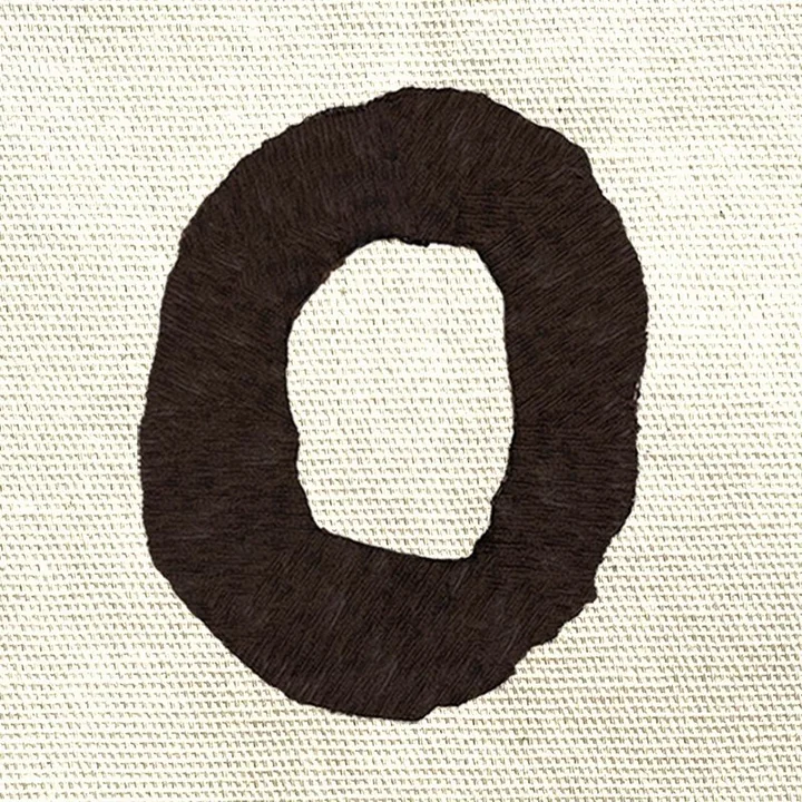 Flyer de Damien Rice