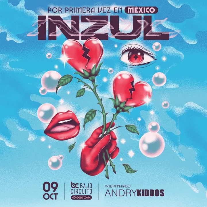 Flyer de Inzul