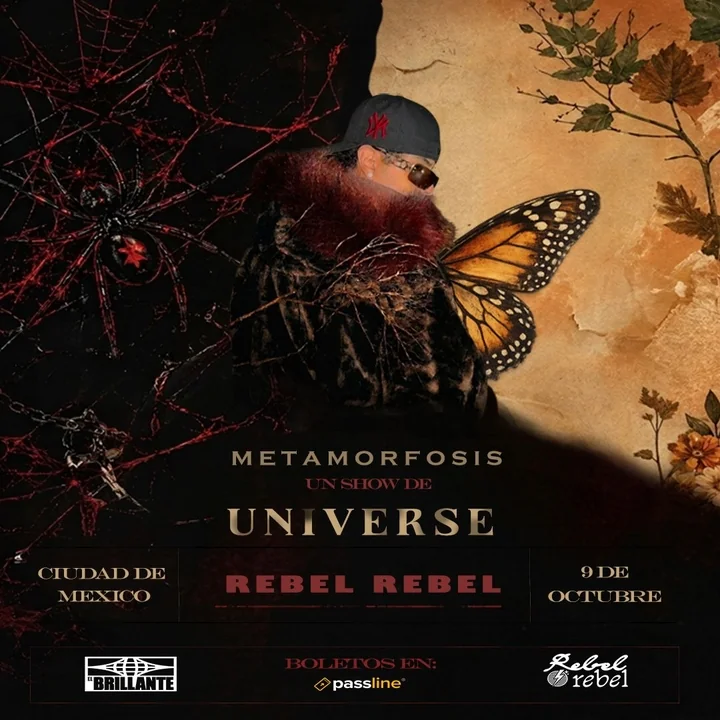 Flyer de Universe