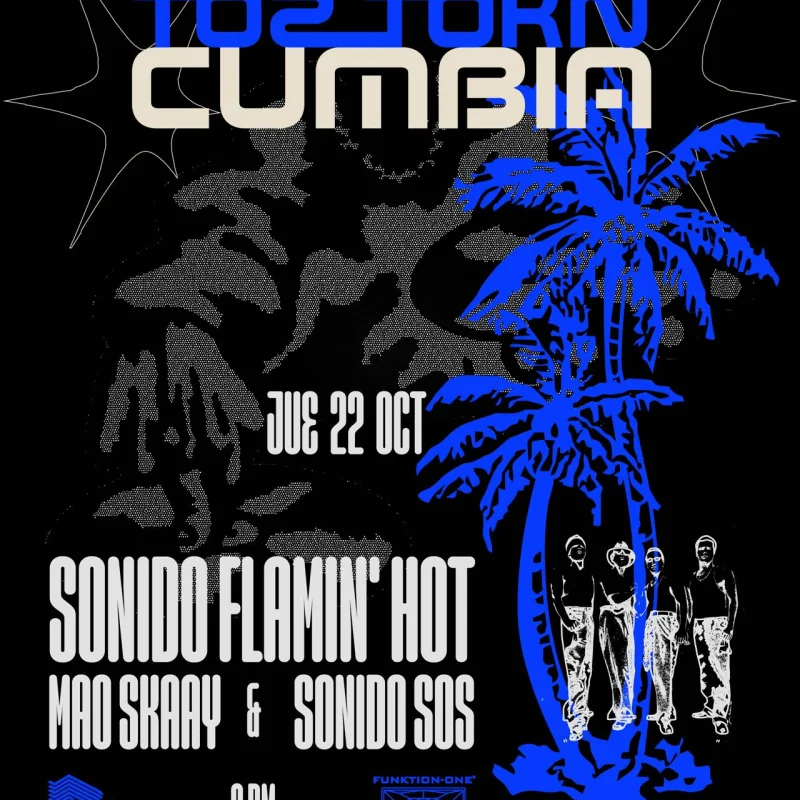 Flyer de SONIDO SOS X JAPAN