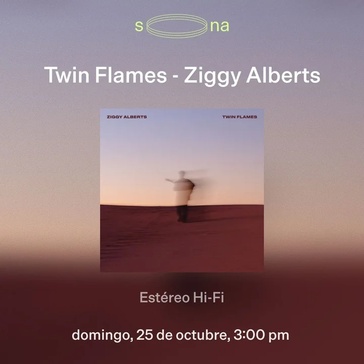 Flyer de Ziggy Alberts