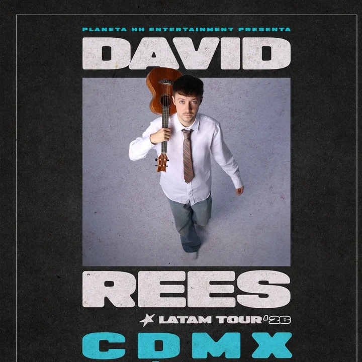 Flyer de David Rees