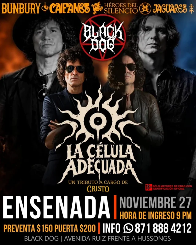 Flyer de La Célula Adecuada