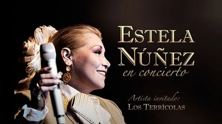 Flyer de Estela Núñez