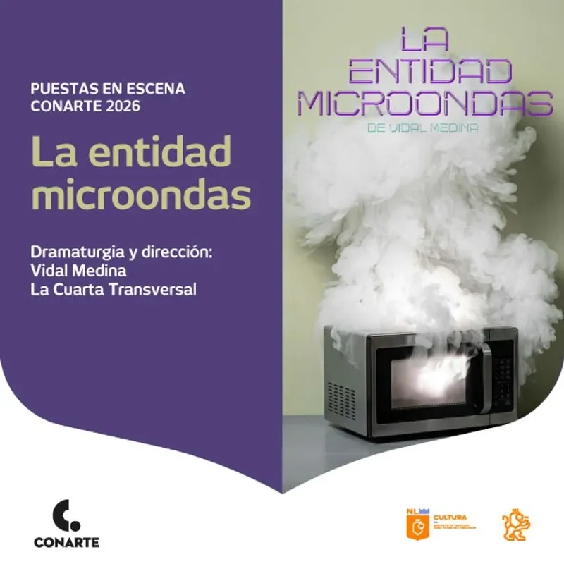 Flyer de La Entidad Microondas