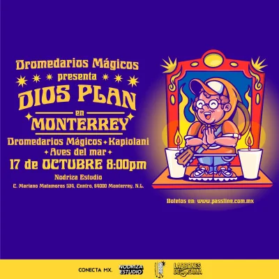 Flyer de Dromedarios Mágicos