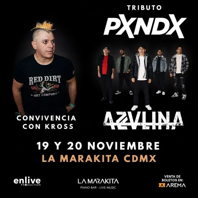 Flyer de Tributo a Pxndx