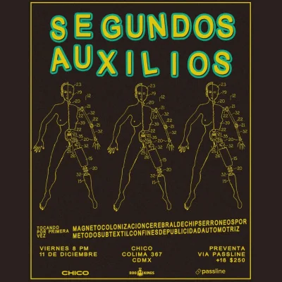 Flyer de Segundos Auxilios presenta: MAGNETOCOLONIZACIÓN