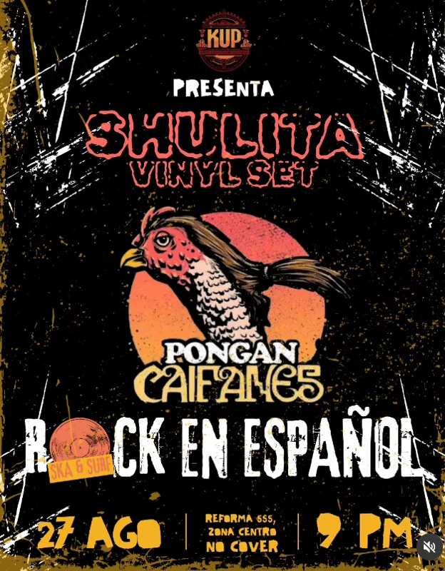 Flyer de Shulyta vinyl set