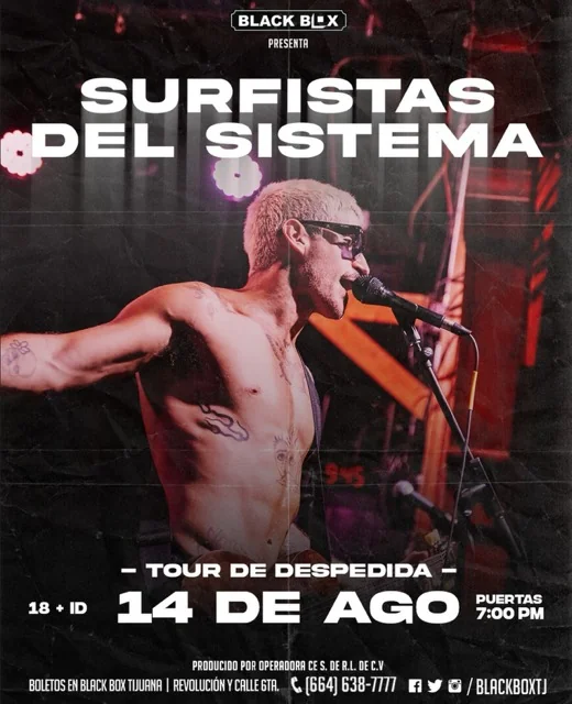 Flyer de Surfistas del Sistema - Tour de Despedida