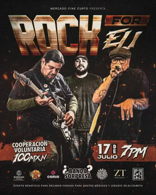 ROCK FOR ELI