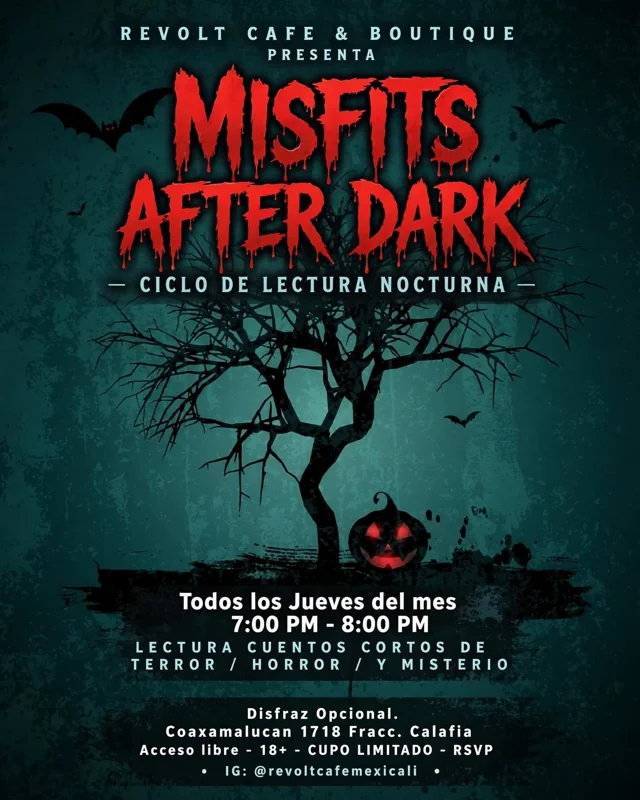 Flyer de MISFITS AFTER THE DARK