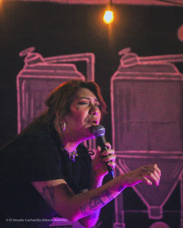 “Brujaja, ultima vuelta en mexicali”
Presentación de la comediante mexicana @lizzceron en @malgro_cerveceria 
_
_
_
#fotografia #comedia #mexico🇲🇽 #mexicali686