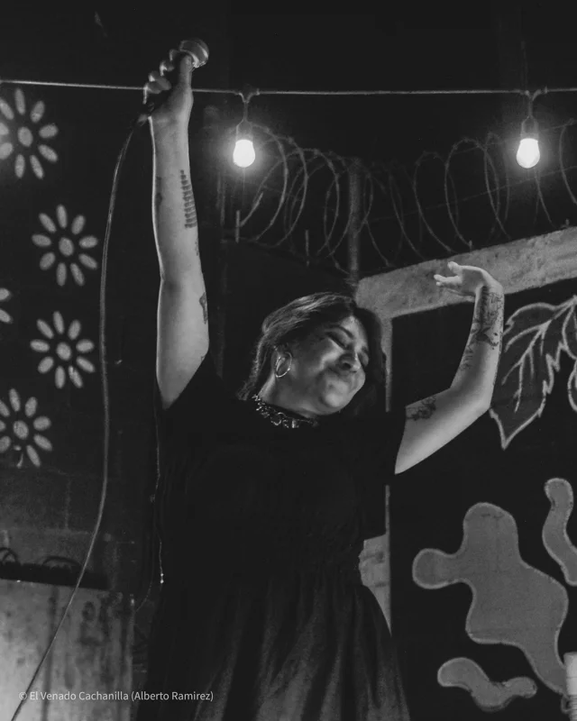 “Brujaja, ultima vuelta en mexicali”
Presentación de la comediante mexicana @lizzceron en @malgro_cerveceria 
_
_
_
#fotografia #comedia #mexico🇲🇽 #mexicali686