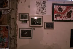 Awesome photography from our opening exhibition in Mexicali, Mexico
credit: @jetoquero 

Special thanks to @galeria.tnumbra and @edificiobertha for hosting and helping us bring over 300 artists together 

멕시코 멕시칼리에서 열린 개막 전시의 멋진 사진입니다.
사진 제공: @jetoquero

300명 이상의 아티스트가 함께할 수 있도록 장소를 제공하고 도움을 주신 @galeria.tnumbra와 @edificiobertha에 깊은 감사를 드립니다.

#photoftheday #photographer #artgallery #mexico
